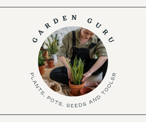 イベントバナー